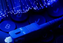 bg-fibre